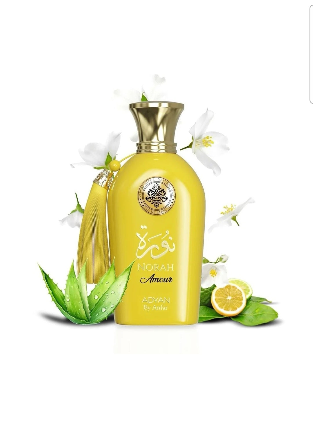 NORAH AMOUR ADYAN EDP 1OOML FOR WOMEN BY ANFAR